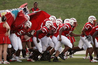 青年教练员资格认证考试报名已正式启动，青少年教练技术课程安排