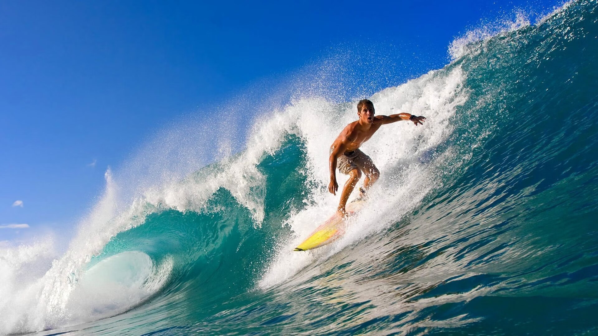 中美大豆贸易是否恢复?商务部最新回应来了,中国与美国的大豆贸易